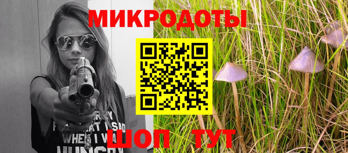 Псилоцибиновые грибы Magic Shrooms  Вход с VPN  Елизово 